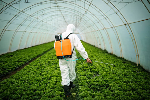 Best Pest Inspection Near Me  in Palm Springs North, FL