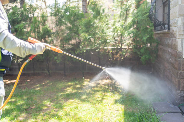 Wildlife Control Services in Palm Springs North, FL