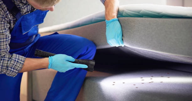 Pest Control Cost in Palm Springs North, FL