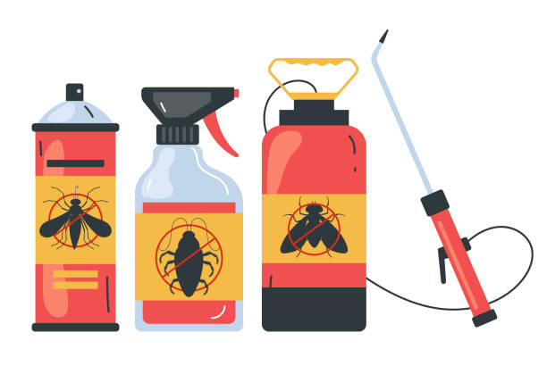 Wasp Removal Services in Palm Springs North, FL