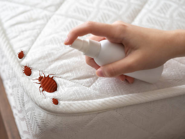 Best Exterminator Services  in Palm Springs North, FL
